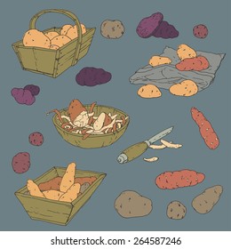 Hand drawn background illustration with potatoes. Ukraine