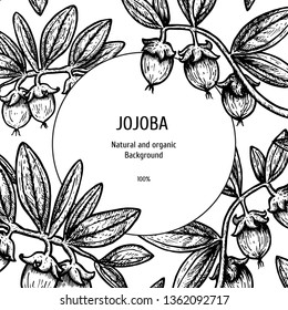 Hand drawn background with jojoba dates, leaves and twigs. Retro sketches. Vintage design. Layout for package. Black and white mockup. Vector illustration.