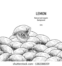 Hand drawn background with lemon. Sketch of citrus. Vintage design with fruit. Layout for package. Black and white mockup. Vector illustration.