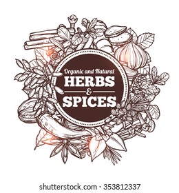 Hand Drawn Background With Organic And Natural Sketch Herbs And Spices