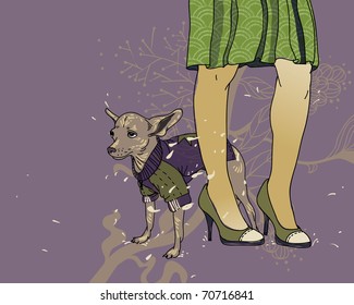 hand drawn background with pretty legs and a small  dog