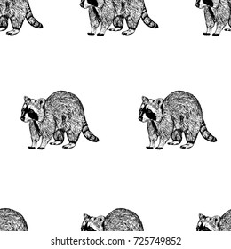 Hand drawn background with raccoon. Vector seamless pattern. Vintage style. Doodle line graphic design. Black and white drawing mammal. Vector sketch.