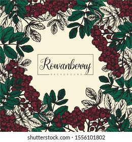 Hand drawn background of rowanberry branch with leaves and berries.  Autumn design. Red forest berries. For design textiles, fabric, packaging, paper, surface decoration, background.