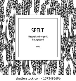 Hand drawn background with spelt. Retro sketches. Vintage design. Layout for package. Black and white mockup. Vector illustration.