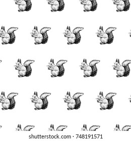 Hand drawn background with squirrel. Vector seamless pattern. Vintage style. Doodle line graphic design. Black and white drawing mammal. Vector sketch.