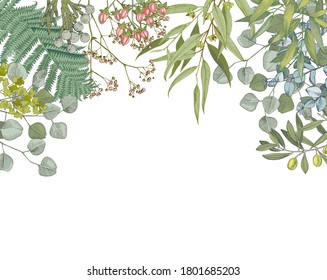 Hand drawn background with trendy greenery. Vector illustration