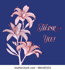 Hand drawn background with white lily branch for greeting cards, invitation etc. Vector illustration