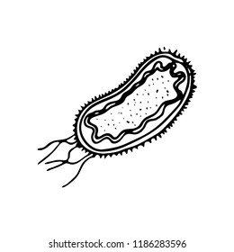 Hand drawn bacteria doodle icon. Hand drawn black sketch. Sign symbol. Decoration element. White background. Isolated. Flat design. Vector illustration.