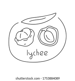 Hand drawn badge - lychee. Vector outline illustration on white background.