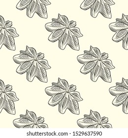Hand drawn badian seamless pattern . Dry anise backdrop. Engraving vintage style. Vector illustration