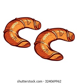 Hand drawn bagels on the white background. Vector illustration.