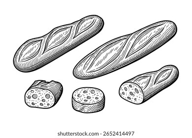 Pão de baguete desenhado à mão pães e fatias em estilo de gravação isolado no branco