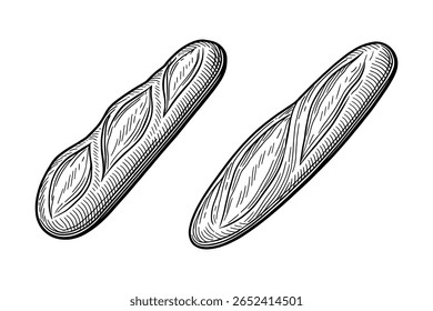 Pão de baguete desenhado à mão pães em estilo de gravação isolado no fundo branco