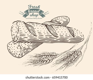 Hand drawn baguette in engraving style. Ears of wheat. Bread bakery fresh food collection. Vector vintage illustration. Black elements isolated on white background.