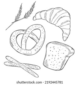 Hand drawn bakery. Doodle bread sketch, wheat flour types of bread, vintage graphic template baking. bakery bagels and cookies