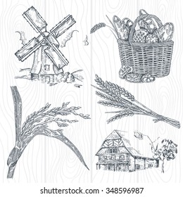 Hand drawn bakery set. Illustration windmill, wheat, farm house in vintage style