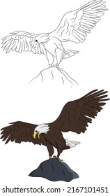 Hand Drawn Bald Eagle Bird Set Isolated Vector Illustration, Flying Bird Drawing Illustration