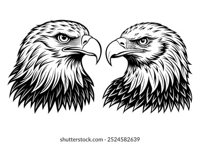 hand drawn bald eagle spreading the wings