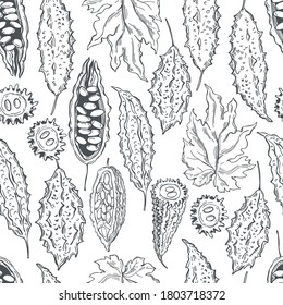  Hand drawn balsam pear. Momordica on white background.  Bitter gourd, bitter melon, Balsam apple.    Vector  seamless pattern. 