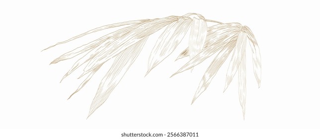 Hand drawn bamboo branch on white background decorations in vintage style. Art abstract leaves template design.