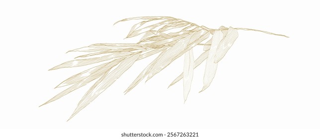 Hand drawn bamboo branch on white background decorations in vintage style. Art abstract leaves template design.