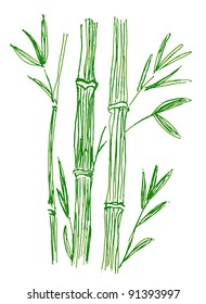 hand drawn bamboo branches