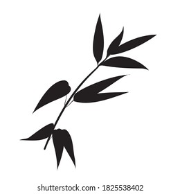 Hand drawn bamboo branches for your design