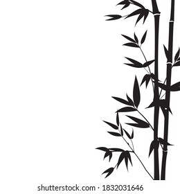 Hand drawn bamboo branches for your design