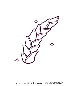 Hand Drawn Bamboo Shoots. Doodle Vector Sketch Illustration