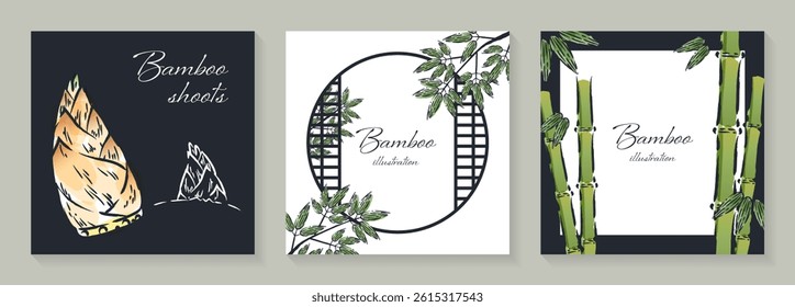 Hand drawn bamboo and bamboo shoots illustration set