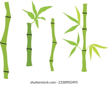 Hand drawn bamboo stem and leaves. Set of bamboo tree. Hand drawn botanical illustration isolated on white background. Vector art
