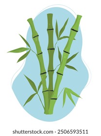 Hand drawn bamboo stem and leaves. Bamboo tree. Vector illustration