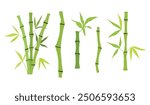 Hand drawn bamboo tree stem and leaves. Set of bamboo tree isolated on white background. Vector illustration