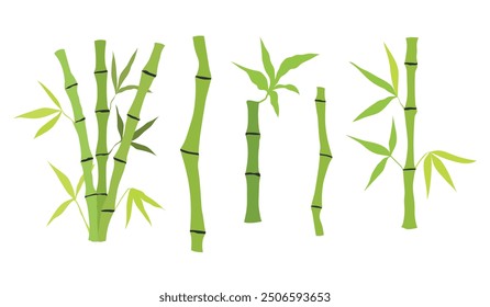 Hand drawn bamboo tree stem and leaves. Set of bamboo tree isolated on white background. Vector illustration