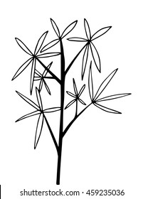 hand drawn bamboo with twigs on white background