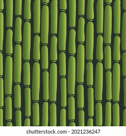 Hand drawn bamboo wall texture. Green bamboo stick background. Design card. Vector illustration.