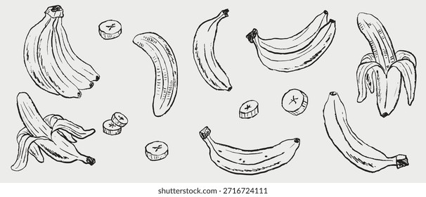 Hand drawn banana assortment. Vector sketch illustration in vintage crayon charcoal style, whole, peeled, and sliced bananas ideal for fruit packaging, educational materials, or tropical designs