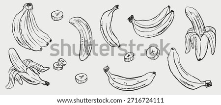 Hand drawn banana assortment. Vector sketch illustration in vintage crayon charcoal style, whole, peeled, and sliced bananas ideal for fruit packaging, educational materials, or tropical designs