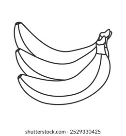 Hand drawn banana bunch icon in hand drawn doodle style. Outline banana fruit isolated
