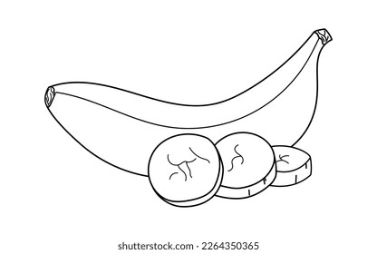 Hand drawn banana fruit in linear style. Banana Sketch on white background. Bananas line vector illustration