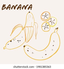 Hand drawn banana fruit multicolor line art vector illustration. Colorful line art exotic fruit design.