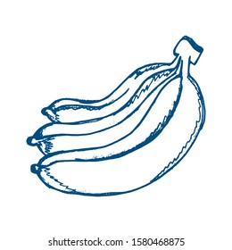 Hand drawn banana icon. Vector badge fruit in the old ink style for brochures, banner, restaurant menu and market