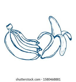 Hand drawn banana icon. Vector badge fruit in the old ink style for brochures, banner, restaurant menu and market