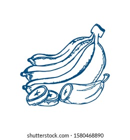 Hand drawn banana icon. Vector badge fruit in the old ink style for brochures, banner, restaurant menu and market