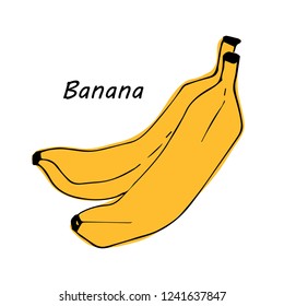Hand drawn Banana isolated on white background. vector illustration.