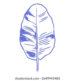Hand drawn banana leaf in raw pastel blue crayon texture. Doodle sketch illustration with bold chalk lines. Exotic decorative design elements for tropical branding, eco packaging, nature prints.