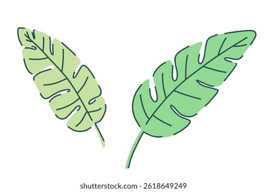 Hand drawn banana leaves in green shades. set with tropical botanical elements. Vector illustration in modern minimal style. nature design for decoration, print, textile, floral wedding invitation