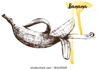 Hand drawn banana on white background