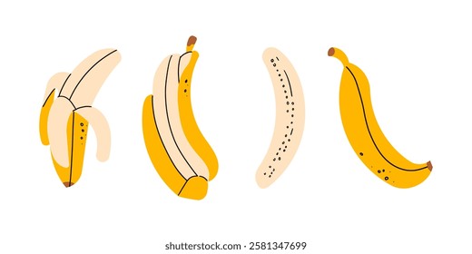 Hand drawn banana set. Simple drawing of whole, peeled bananas, sliced, chopped, empty peel . Hand drawn doodle illustration , tropical fruit .