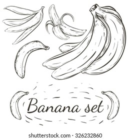 Hand drawn banana set.Simple picture of banana.